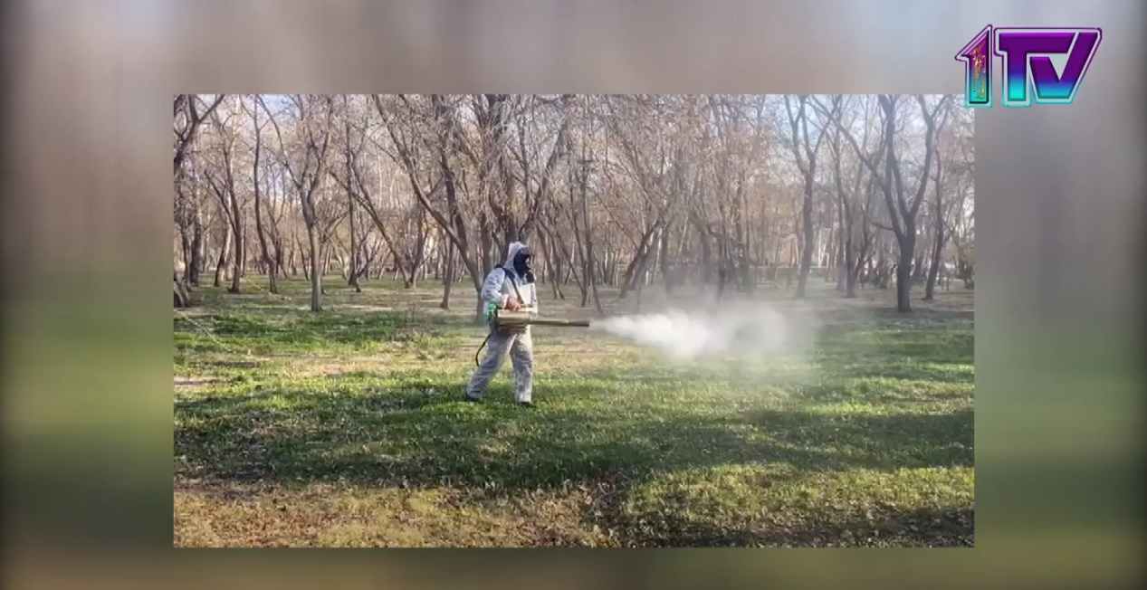 В Северо-Казахстанской области активно идёт обработка улиц от клещей и комаров
